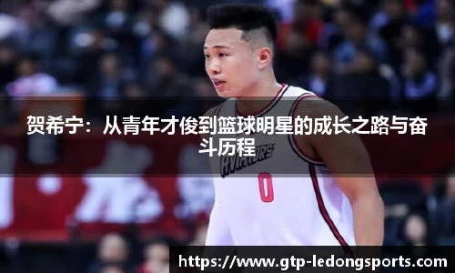 贺希宁：从青年才俊到篮球明星的成长之路与奋斗历程