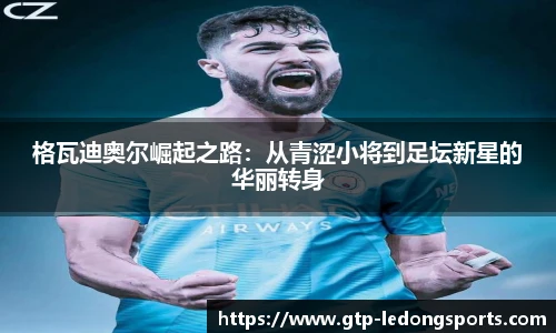 格瓦迪奥尔崛起之路：从青涩小将到足坛新星的华丽转身